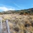  Land for sale in Huiliches, Neuquen, Huiliches