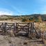  Land for sale in Huiliches, Neuquen, Huiliches