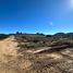  Grundstück zu verkaufen in Tecate, Baja California, Tecate