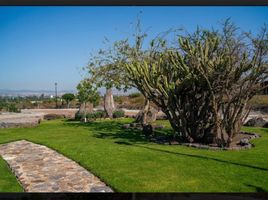  Terreno (Parcela) en venta en Corregidora, Querétaro, Corregidora