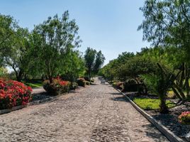  Terreno (Parcela) en venta en Corregidora, Querétaro, Corregidora