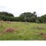  Land for sale in Valle Del Cauca, Ginebra, Valle Del Cauca