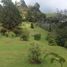 4 Bedroom Villa for sale in Rionegro, Antioquia, Rionegro