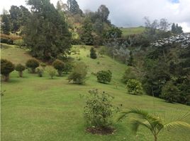  Grundstück zu verkaufen in Rionegro, Antioquia, Rionegro