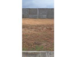  Land for sale in Samborondon, Guayas, Samborondon, Samborondon