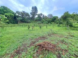  Land for sale in Jaramillo, Boquete, Jaramillo