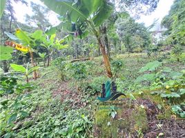  Land for sale in Jaramillo, Boquete, Jaramillo