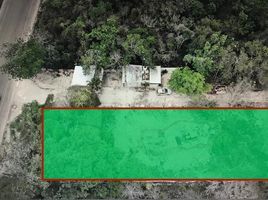  Terreno (Parcela) en alquiler en Cozumel, Quintana Roo, Cozumel, Quintana Roo