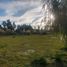  Terreno (Parcela) en venta en San Rafael, Mendoza, San Rafael