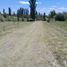  Terreno (Parcela) en venta en San Rafael, Mendoza, San Rafael