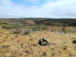  Terrain for sale in Ovalle, Limari, Ovalle