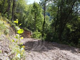  Terreno (Parcela) en venta en Molina, Curicó, Molina