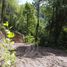  Land for sale in Molina, Maule, Molina, Curico
