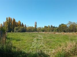  Land for sale in Biobío, Quillego, Biobío, Biobío