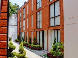 2 Schlafzimmer Appartement zu vermieten in Miguel Hidalgo, Mexico City, Miguel Hidalgo
