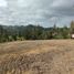  Land for sale in Canar, Javier Loyola Chuquipata, Azogues, Canar