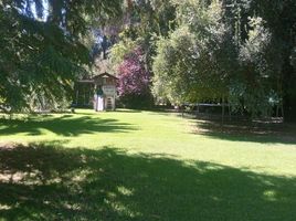 5 Schlafzimmer Haus zu verkaufen in Chacabuco, Santiago, Colina