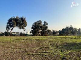  Land for sale in Colina, Chacabuco, Colina