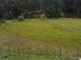  Terreno (Parcela) en venta en Ancash, Piscobamba, Mariscal Luzuriaga, Ancash