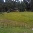  Land for sale in Piscobamba, Ancash, Piscobamba, Mariscal Luzuriaga, Ancash