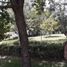 1 Bedroom House for sale in Montemorelos, Nuevo Leon, Montemorelos