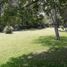 1 Bedroom House for sale in Montemorelos, Nuevo Leon, Montemorelos