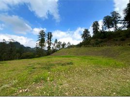  Terreno (Parcela) en venta en Retiro, Antioquia, Retiro