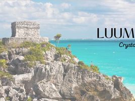  Grundstück zu verkaufen in Cozumel, Quintana Roo, Cozumel