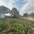  Land for sale in Comalcalco, Tabasco, Comalcalco, Tabasco