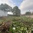  Land for sale in Comalcalco, Tabasco, Comalcalco, Tabasco