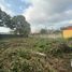  Land for sale in Comalcalco, Tabasco, Comalcalco, Tabasco