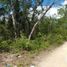  Terrain for sale in Cancun, Quintana Roo, Cancun