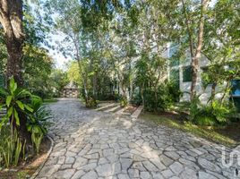 1 Bedroom Apartment for rent in Cozumel, Quintana Roo, Cozumel, Quintana Roo