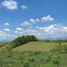  Terreno (Parcela) en venta en Ulloa, Valle Del Cauca, Ulloa