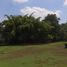  Land for sale in Cali, Valle Del Cauca, Cali