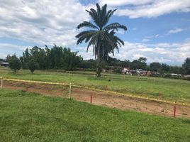  Land for sale in Risaralda, Caldas, Risaralda