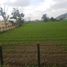  Terreno (Parcela) en venta en Chia, Cundinamarca, Chia