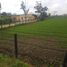  Terreno (Parcela) en venta en Chia, Cundinamarca, Chia