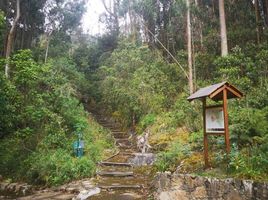  Terreno (Parcela) en venta en Chia, Cundinamarca, Chia