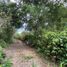  Land for sale in Ocozocoautla De Espinosa, Chiapas, Ocozocoautla De Espinosa