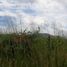  Terreno (Parcela) en venta en Cintalapa, Chiapas, Cintalapa