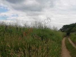  Terreno (Parcela) en venta en Cintalapa, Chiapas, Cintalapa