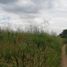  Land for sale in Cintalapa, Chiapas, Cintalapa