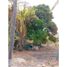  Land for sale in La Trinitaria, Chiapas, La Trinitaria