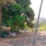  Land for sale in La Trinitaria, Chiapas, La Trinitaria