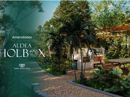  Land for sale in Lazaro Cardenas, Quintana Roo, Lazaro Cardenas