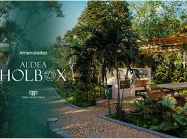  Grundstück zu verkaufen in Lazaro Cardenas, Quintana Roo, Lazaro Cardenas