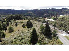 Terrain à vendre à Rionegro, Antioquia, Rionegro, Antioquia