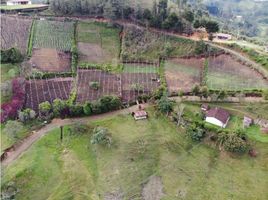  Land for sale in San Vicente, Antioquia, San Vicente