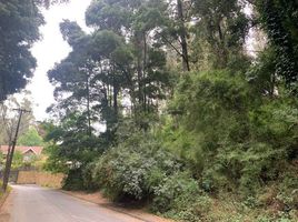  Land for sale in Concepcion, Concepción, Concepcion